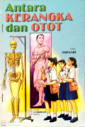 Antara Kerangka Dan Otot