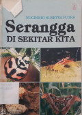 Serangga di Sekitar Kita