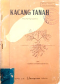 Kacang Tanah